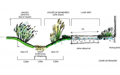 Social drivers for nature-based solutions: The case of Longvic’s eco-neighborhood in France